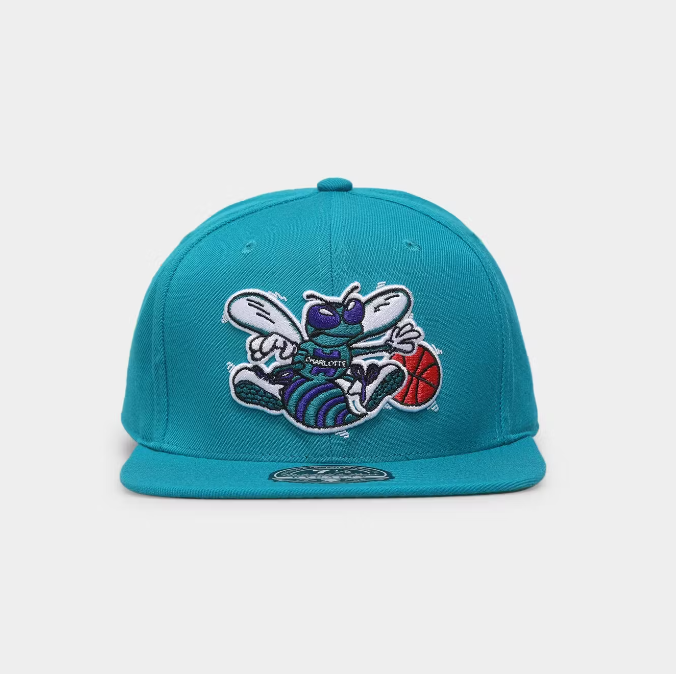 MNA-W27 (Mitchell and ness team ground 2.0 fitted hwc hat hornets teal) 52392824