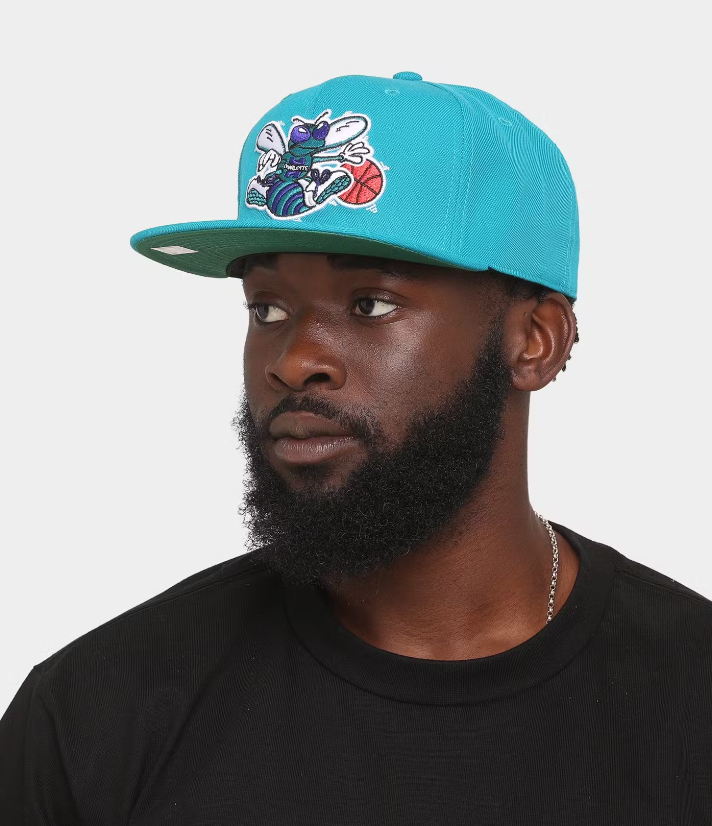 MNA-W27 (Mitchell and ness team ground 2.0 fitted hwc hat hornets teal) 52392824