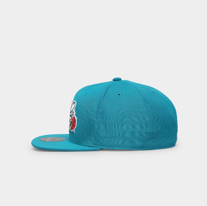 MNA-W27 (Mitchell and ness team ground 2.0 fitted hwc hat hornets teal) 52392824