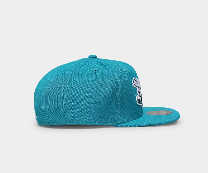 MNA-W27 (Mitchell and ness team ground 2.0 fitted hwc hat hornets teal) 52392824