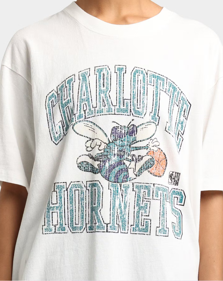 MNA-M23 (Mitchell and ness vintage hwc ivy arch colour hornets tee vintage white) 122293478