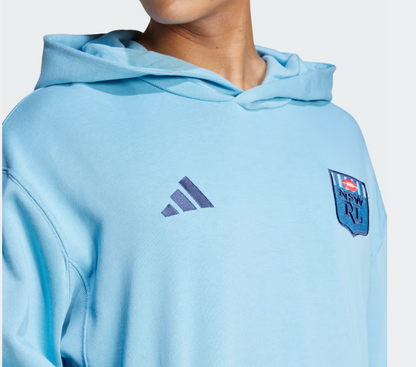 AA-F26 (Adidas new south wales hoodie team light blue) 122495457