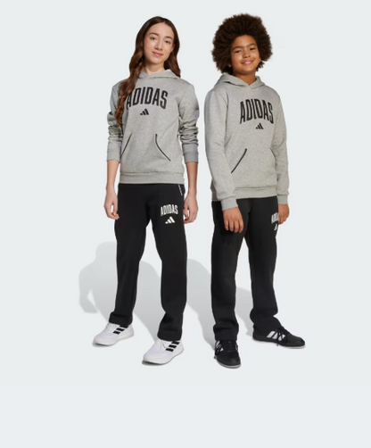 AA-D29 (Adidas essentials collegiate typography pant black/white) 72593585