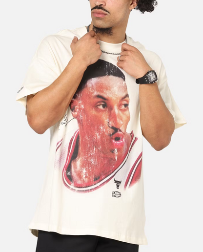MNA-T44 (Mitchell & ness big head pippen tee egret) 72593043