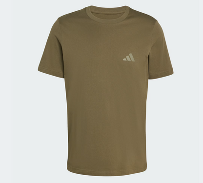 AA-X29 (Adidas terrex mountain graphic t-shirt olive strata) 12693125