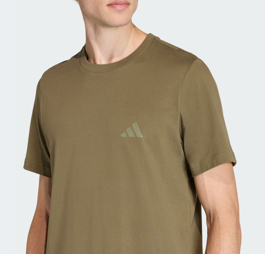 AA-X29 (Adidas terrex mountain graphic t-shirt olive strata) 12693125