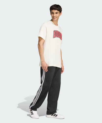 AA-J30 (Adidas stadium collegiate graphic t-shirt off white) 22692406