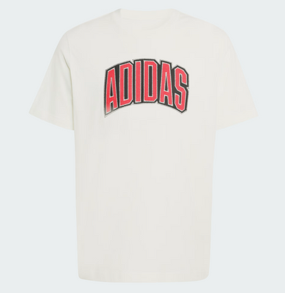 AA-J30 (Adidas stadium collegiate graphic t-shirt off white) 22692406