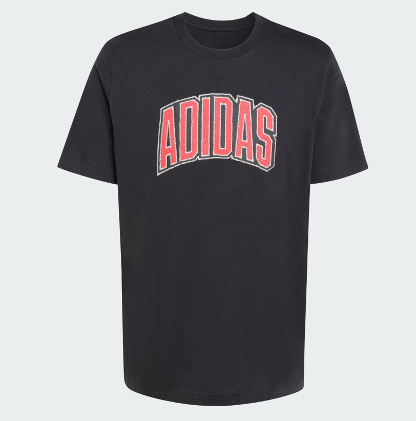 AA-K30 (Adidas stadium collegiate graphic t-shirt black) 22692406