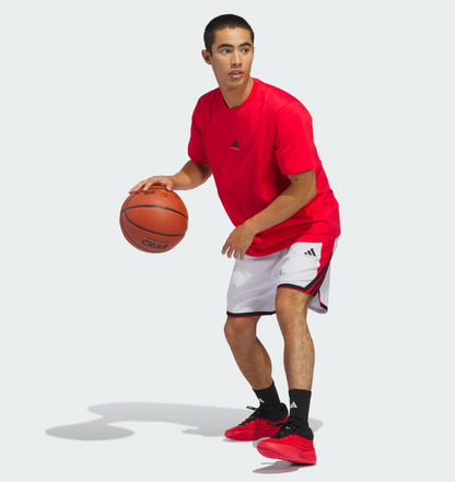 AA-L30 (Adidas crazy lite shorts dash grey/pure ruby) 22694089