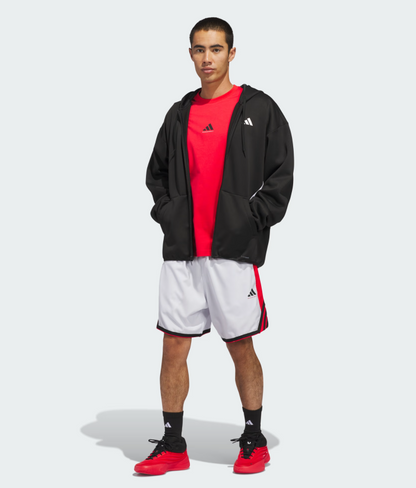 AA-L30 (Adidas crazy lite shorts dash grey/pure ruby) 22694089