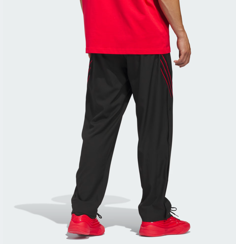 AA-N31 (Adidas crazy lite pants black/pure ruby) 32696257