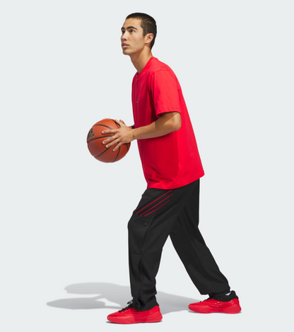 AA-N31 (Adidas crazy lite pants black/pure ruby) 32696257