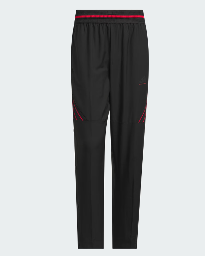 AA-N31 (Adidas crazy lite pants black/pure ruby) 32696257