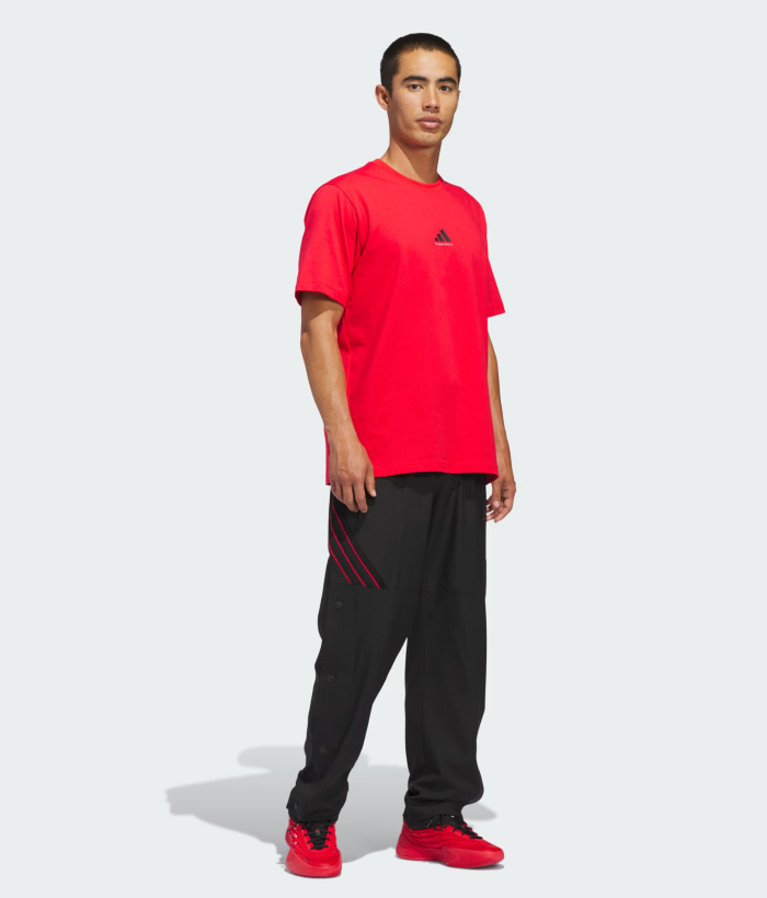 AA-N31 (Adidas crazy lite pants black/pure ruby) 32696257