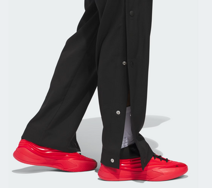 AA-N31 (Adidas crazy lite pants black/pure ruby) 32696257