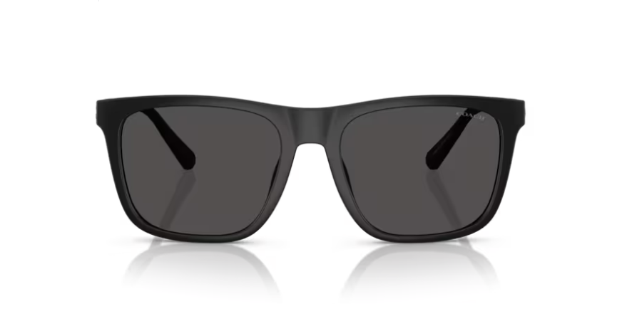 CO-A (Coach matte black frame/grey solid lenses) 326910267