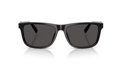 CO-B (Coach matte black frame/grey solid lenses) 326912383