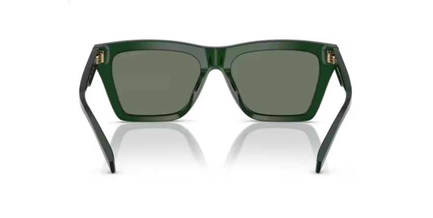 MKS-A (Michael kors pebble beach olive solid frame/green solid lenses) 32699372