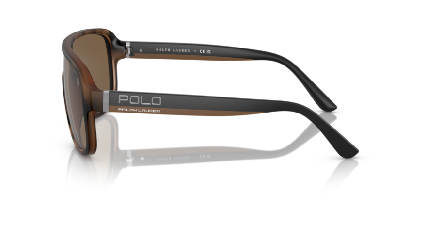 RL-A (Polo ralph lauren matte havana brown frame/brown lenses) 326910484