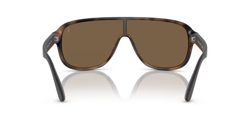 RL-A (Polo ralph lauren matte havana brown frame/brown lenses) 326910484
