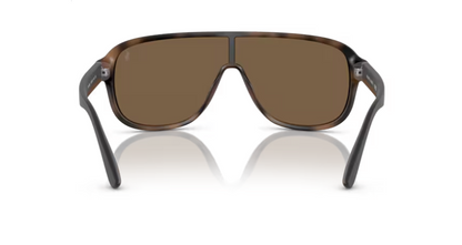 RL-A (Polo ralph lauren matte havana brown frame/brown lenses) 326910484