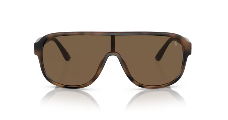 RL-A (Polo ralph lauren matte havana brown frame/brown lenses) 326910484