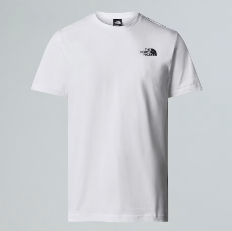 NFA-B10 (The north face short sleeve box celebration t-shirt) 42693478