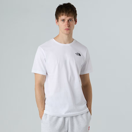NFA-B10 (The north face short sleeve box celebration t-shirt) 42693478