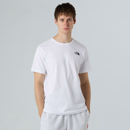 NFA-B10 (The north face short sleeve box celebration t-shirt) 42693478