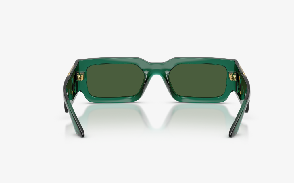 VS-S (Versace sunglasses VE4506U transparent green frame/dark green polarized lenses) 1026920779