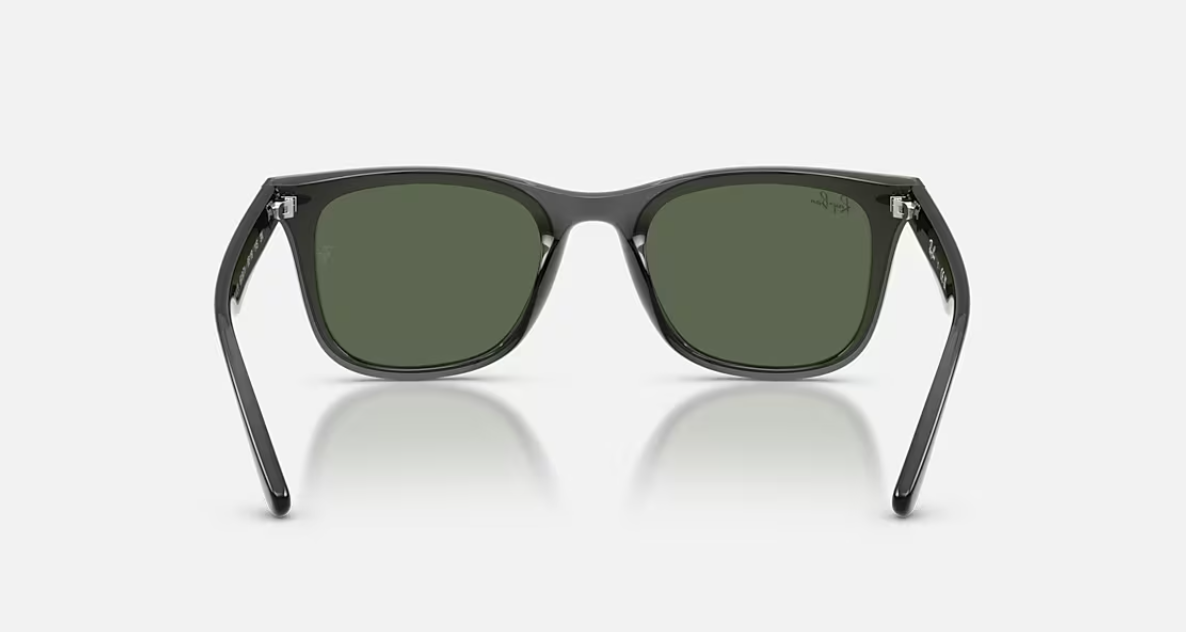 RB-O1 (Ray-Ban transparent grey frame/dark green lenses) 1026910961