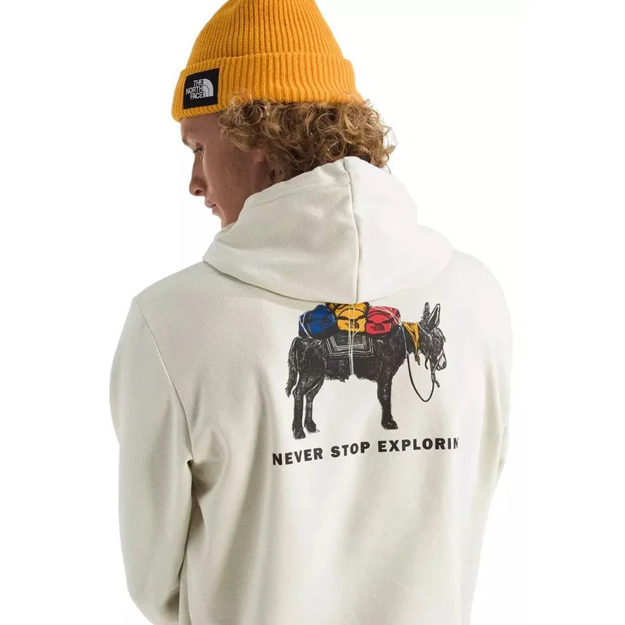 NFA-T10 (The north face mens evolution pack hoodie white/dune) 82695652