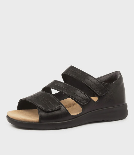 Z-C (Ziera bardot xtra wide leather dress sandals black) 426910600
