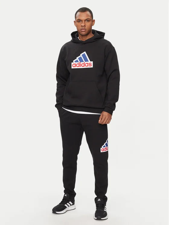 AA-V23 (Adidas future icons badge of sport hoodie black) 52496735