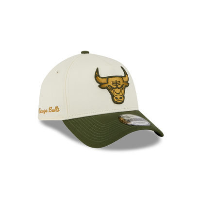 NEC-S72 (New era 940 A frame metallic chicago bulls chrome snapback osfm) 32692670