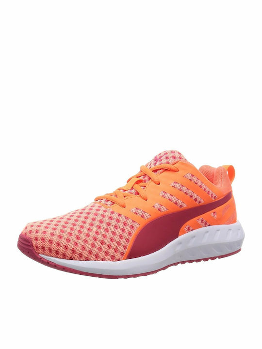 P-V31 (Puma flare women's running shoes orange) 31697156 PUMA