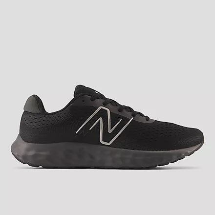 NB-S8 (New balance 520V8 4E width black/metallic silver) 122494914