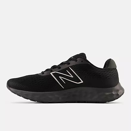 NB-S8 (New balance 520V8 4E width black/metallic silver) 122494914