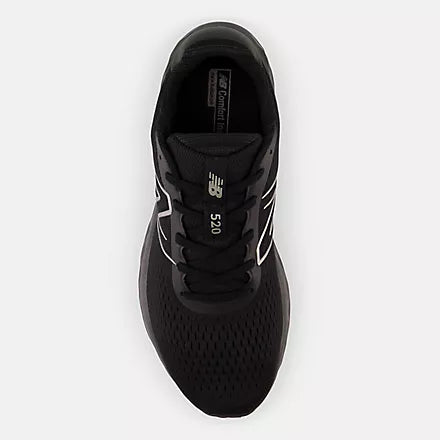 NB-S8 (New balance 520V8 4E width black/metallic silver) 122494914