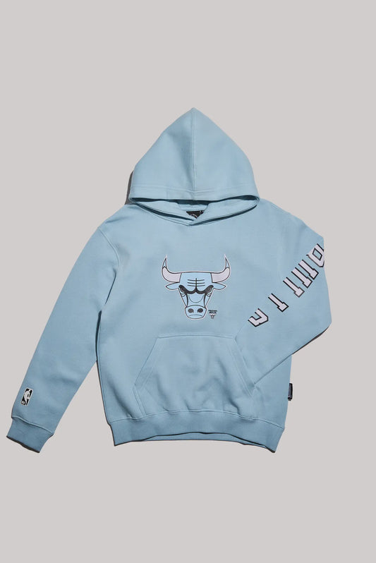 NBAA-V5 (NBA Essentials marlow fleece vintage bulls hoodie carolina blue) 12595217