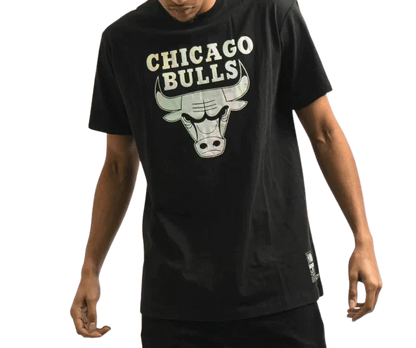 NBAA-C (Platinum tee bulls black) 122192824