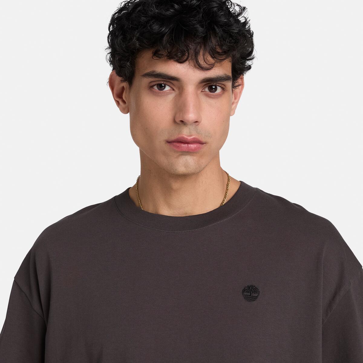 TBA-A4 (Timberland mens dunstan river relaxed fit tee vintage black) 102693826