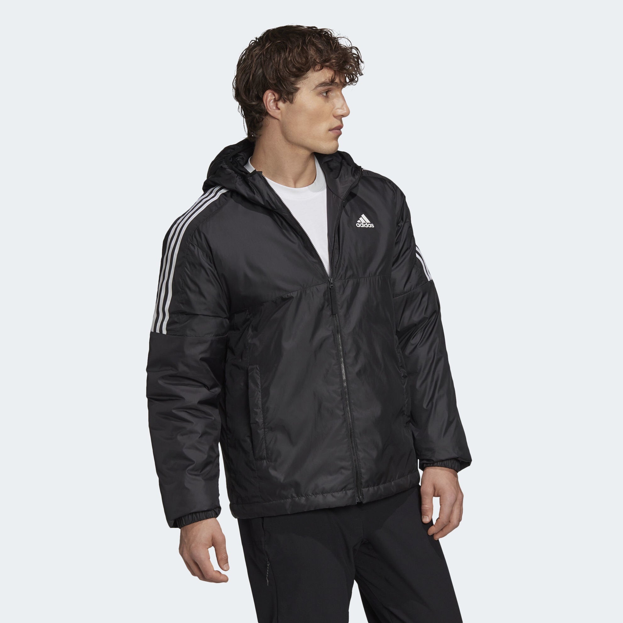AA-I21 (Adidas essentials insuated hooded jacket black/white) 72397694 ...