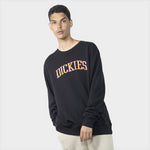 D-M5 (Dickies collegiate tri-colour crew neck sweater black) 52398695 DICKIES
