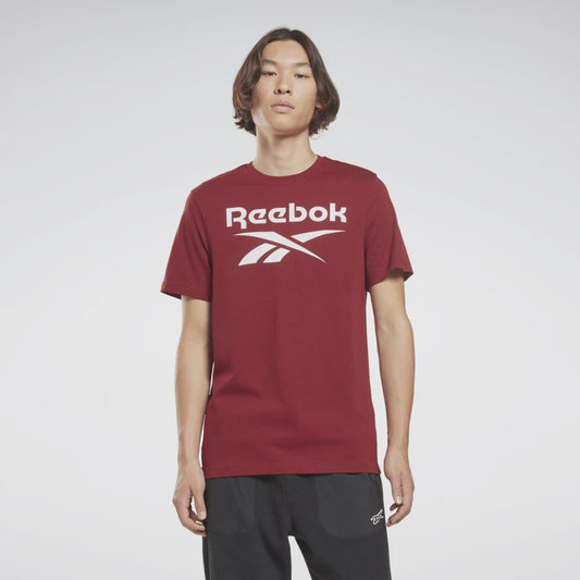 RA-Q1 (Reebok identity big logo tee classic burgaundy) 42292050 REEBOK