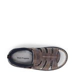 HP-C2 (Spartan brown) 62196954 - Otahuhu Shoes
