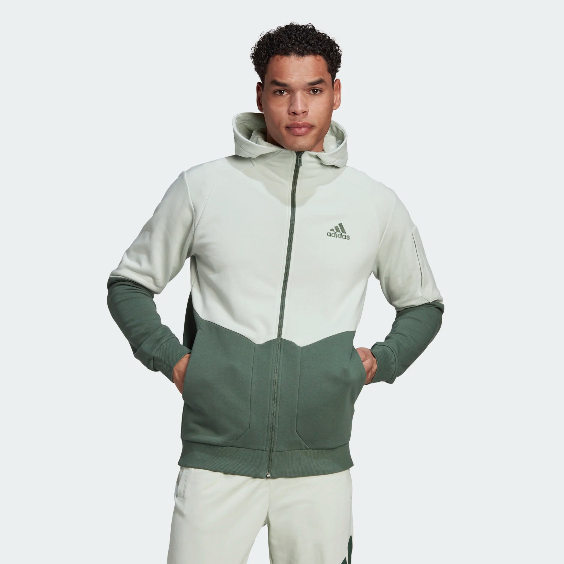 AA-P14 (Essentials 4 game day full-zip hoodie linen green) 62296140 ADIDAS