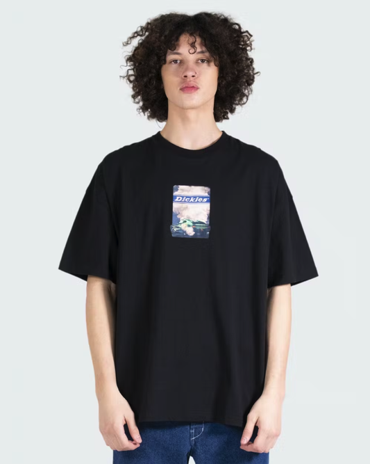 D-X4 (Burnout II Drop Shoulder Box Fit S/S Tee BLACK) 12393475 DICKIES