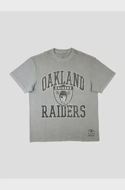 MNA-C18 (Vintage nfl ivy arch raiders tee grey) 12293478 MITCHELL AND NESS